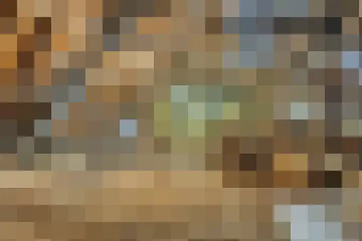 's-Gravenstraat 40 Clinge thumbnail 29