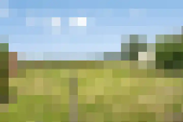 's-Gravenstraat 40 Clinge thumbnail 33
