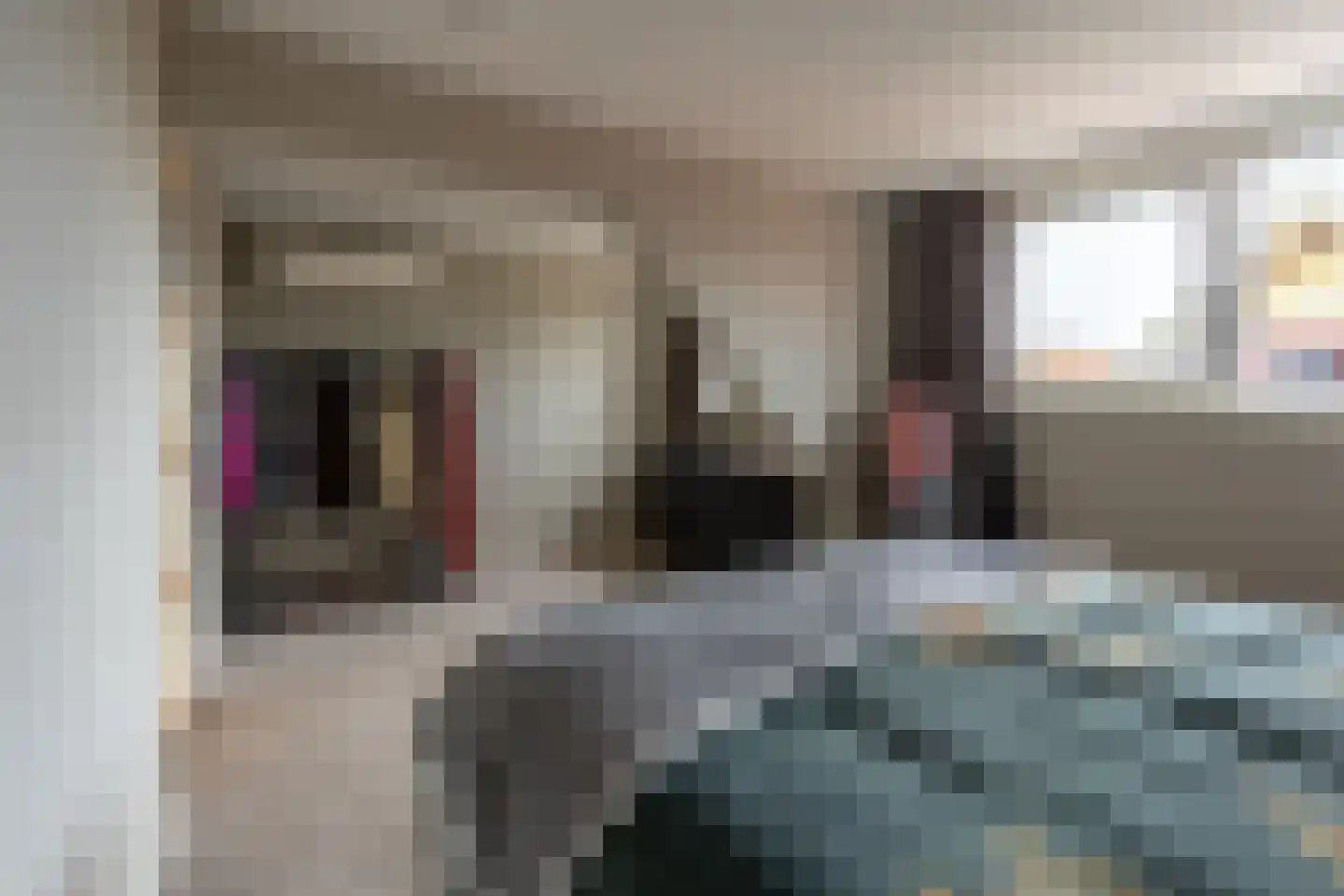 's-Gravenstraat 55 's-Gravenpolder thumbnail 42