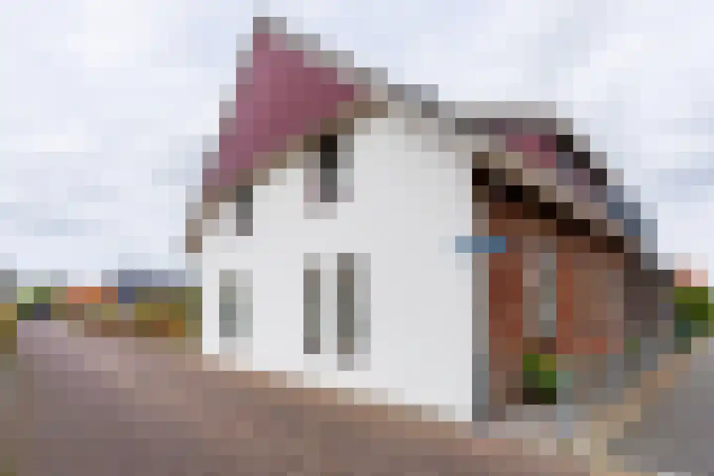 's-Gravenstraat 55 's-Gravenpolder thumbnail 5