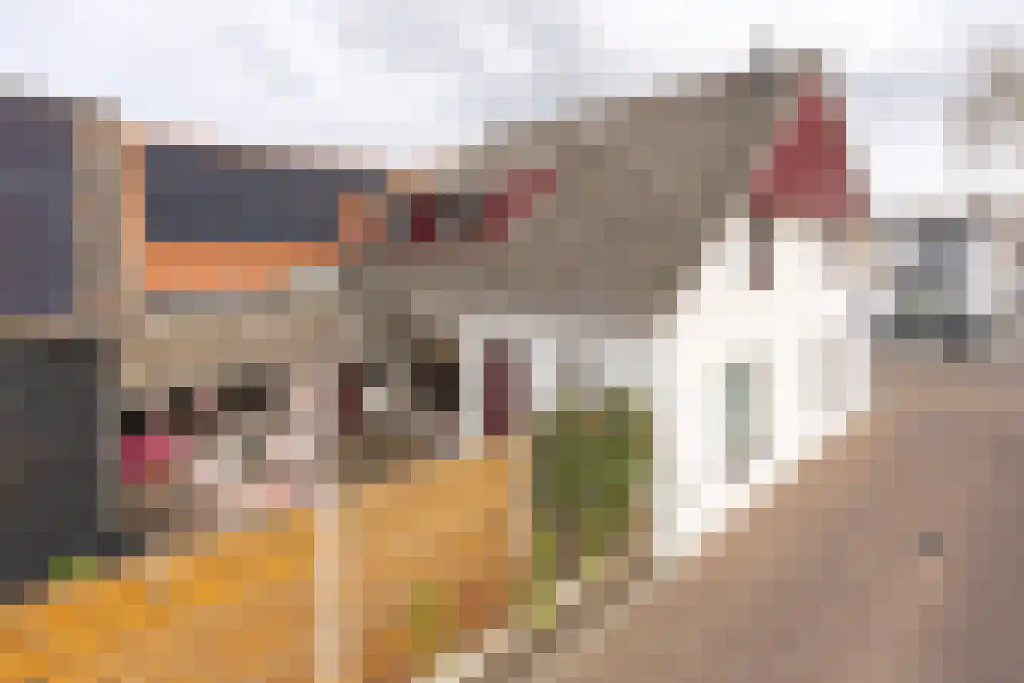 's-Gravenstraat 55 's-Gravenpolder thumbnail 6