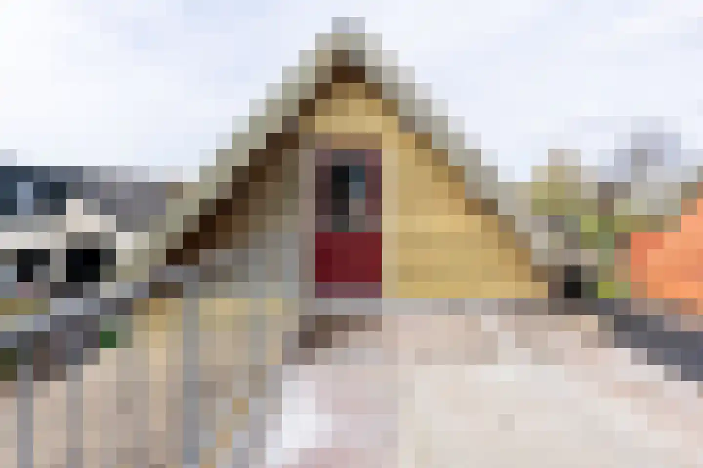 's-Gravenstraat 55 's-Gravenpolder thumbnail 70