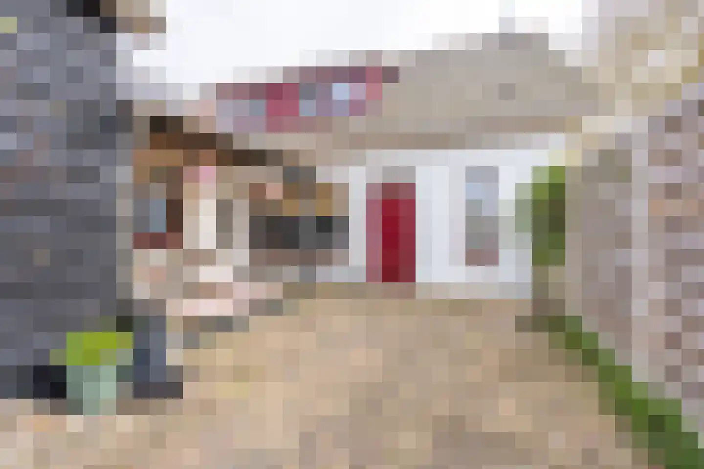 's-Gravenstraat 55 's-Gravenpolder thumbnail 72