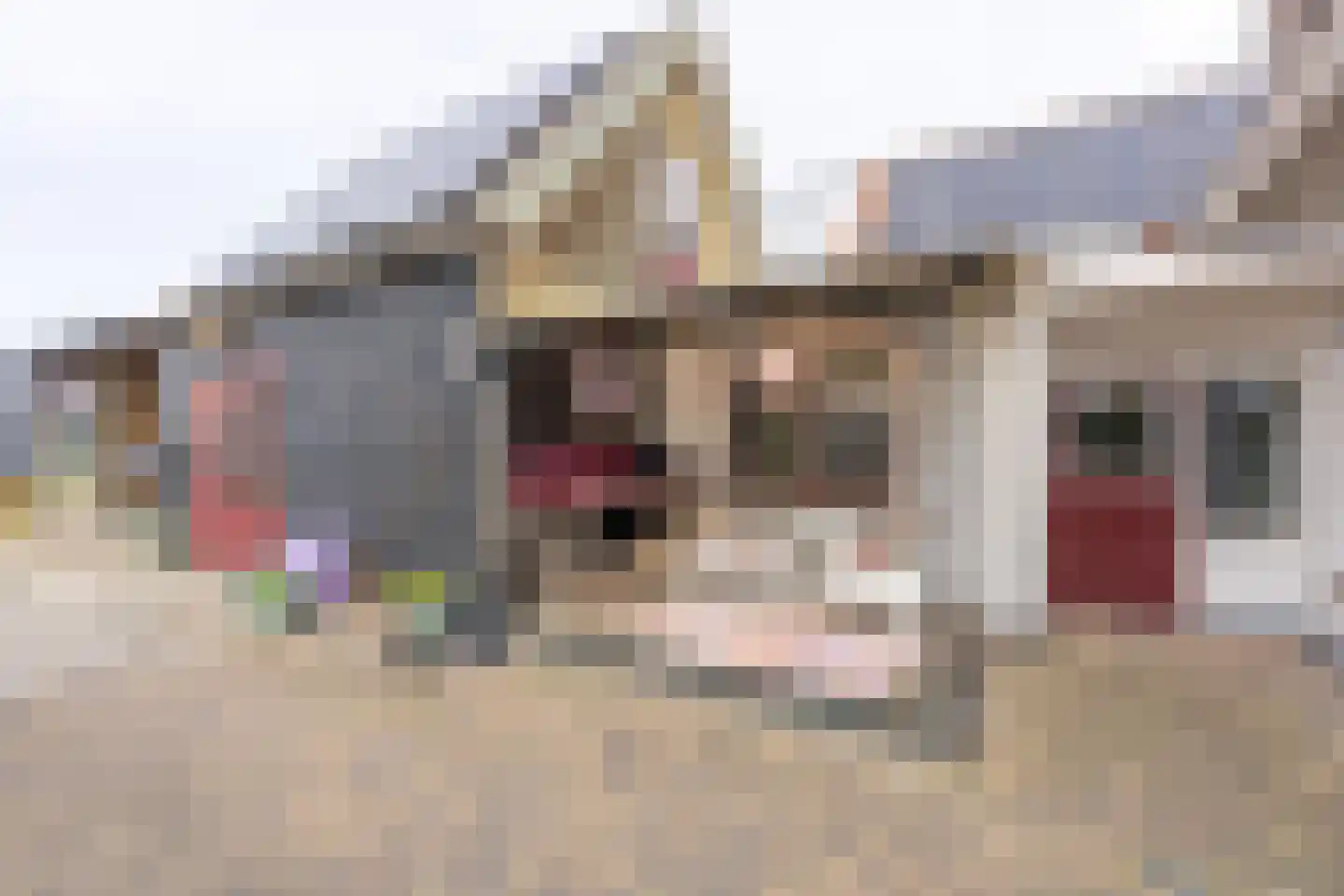 's-Gravenstraat 55 's-Gravenpolder thumbnail 73