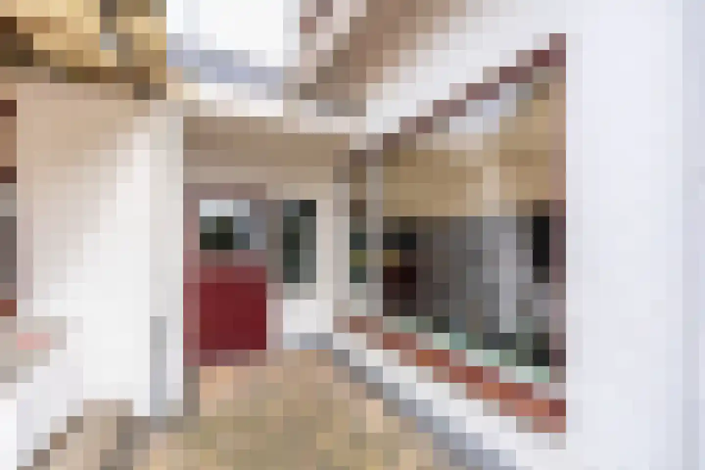 's-Gravenstraat 55 's-Gravenpolder thumbnail 76
