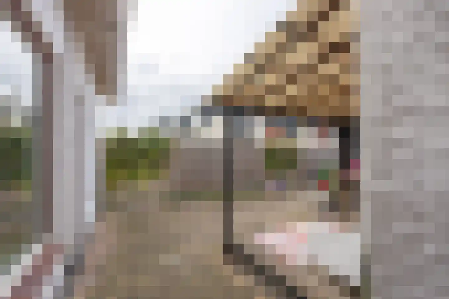 's-Gravenstraat 55 's-Gravenpolder thumbnail 77
