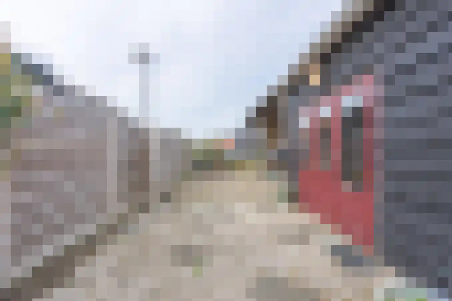 's-Gravenstraat 55 's-Gravenpolder thumbnail 79