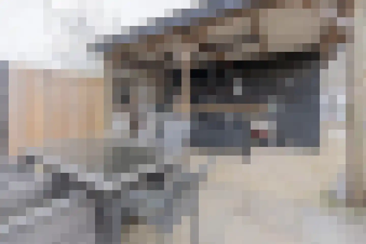 's-Gravenstraat 55 's-Gravenpolder thumbnail 83