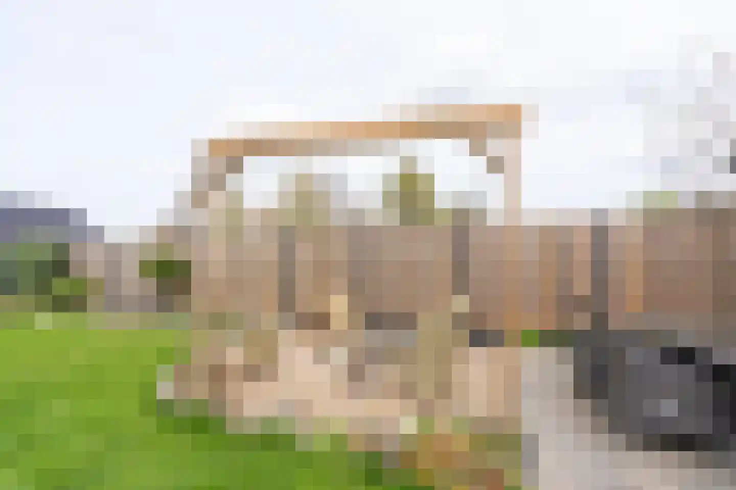 's-Gravenstraat 55 's-Gravenpolder thumbnail 86