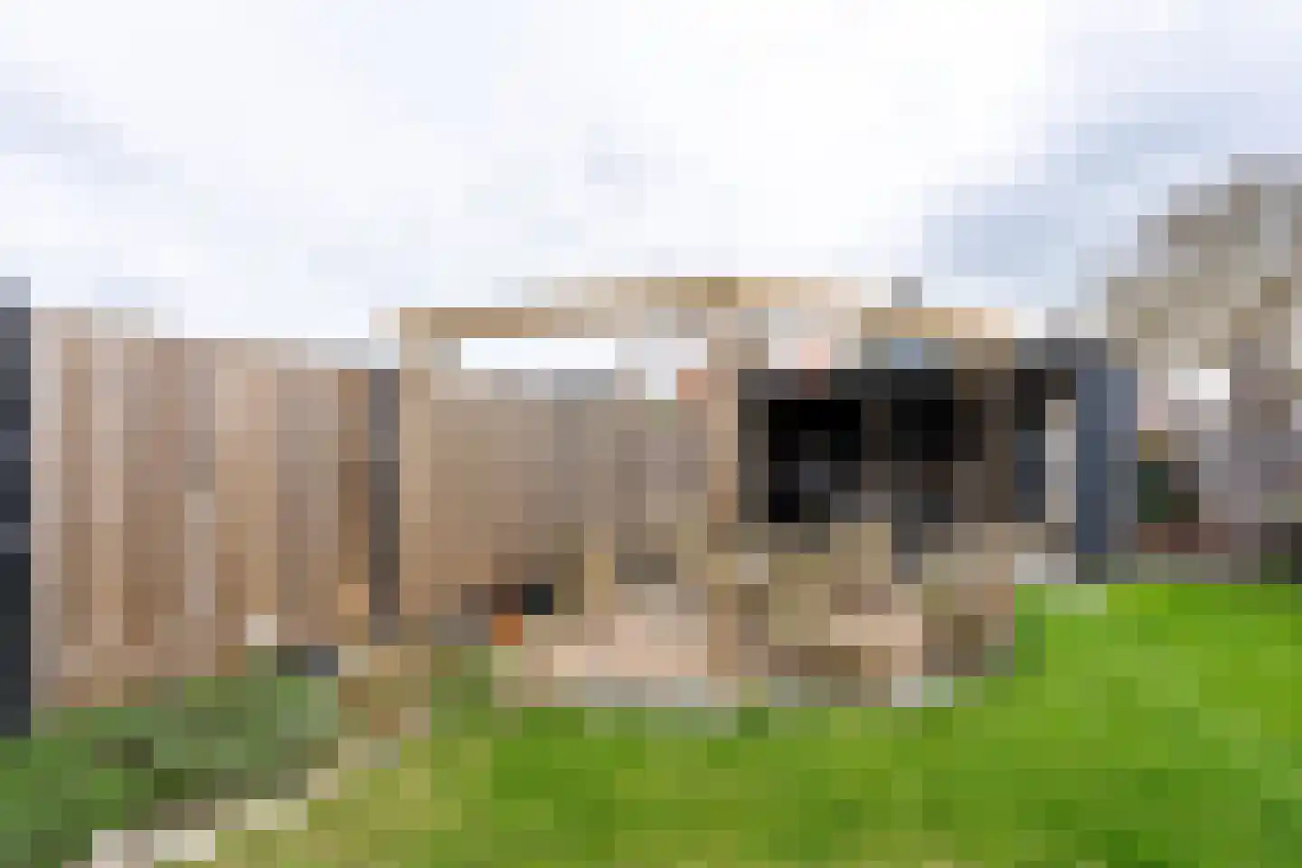 's-Gravenstraat 55 's-Gravenpolder thumbnail 87