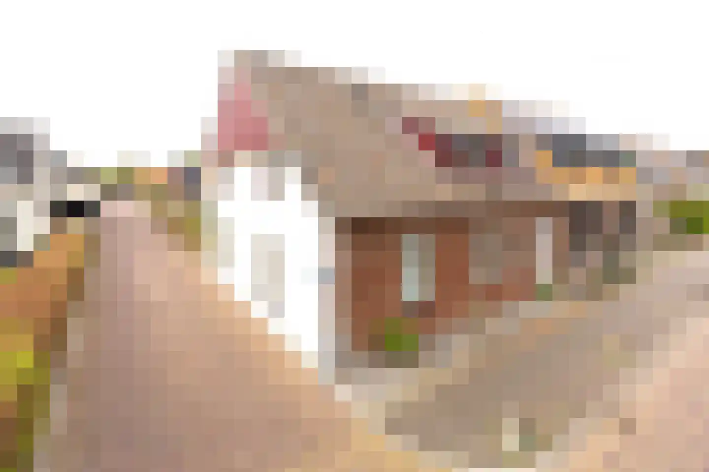 's-Gravenstraat 55 's-Gravenpolder thumbnail 9
