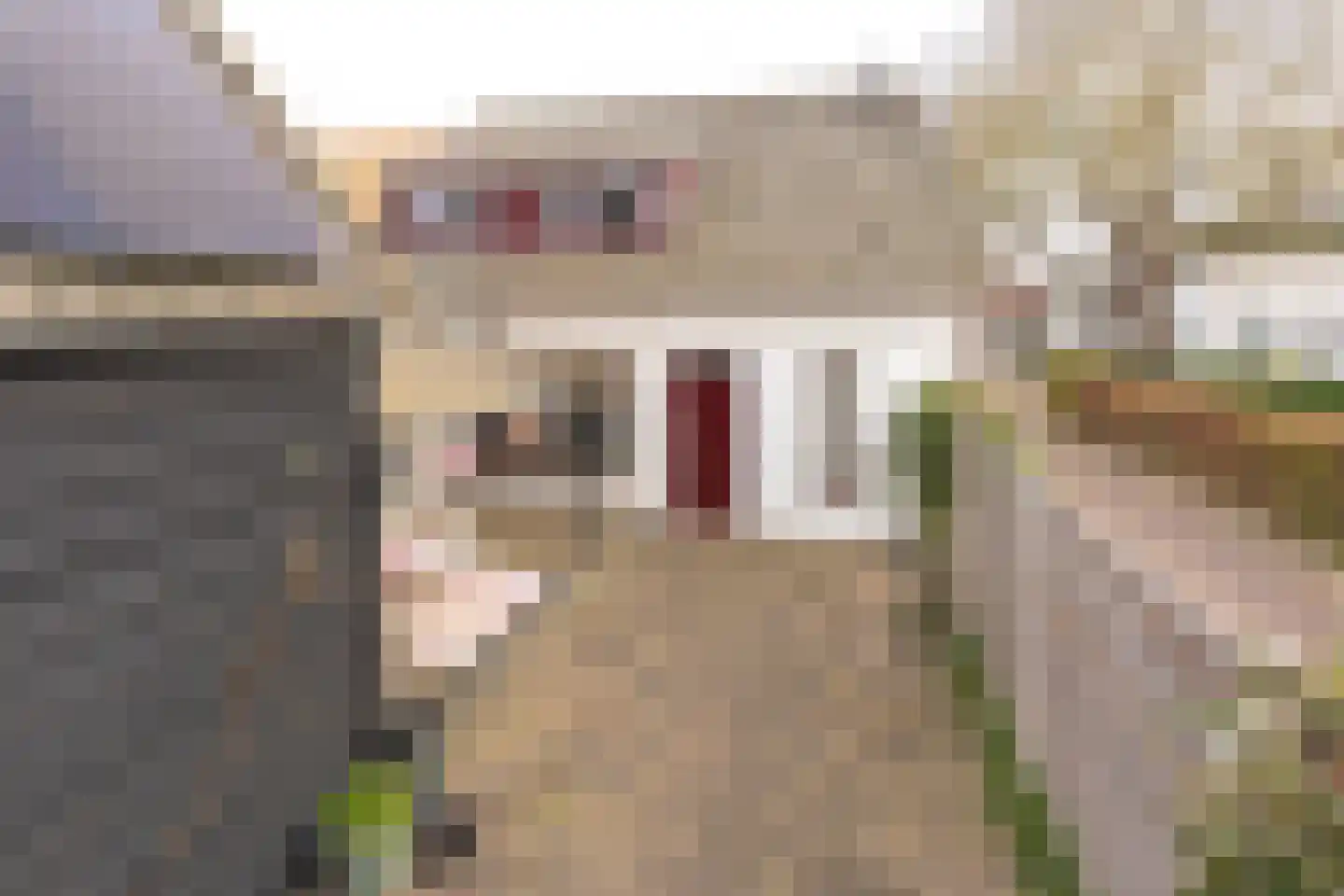 's-Gravenstraat 55 's-Gravenpolder thumbnail 95
