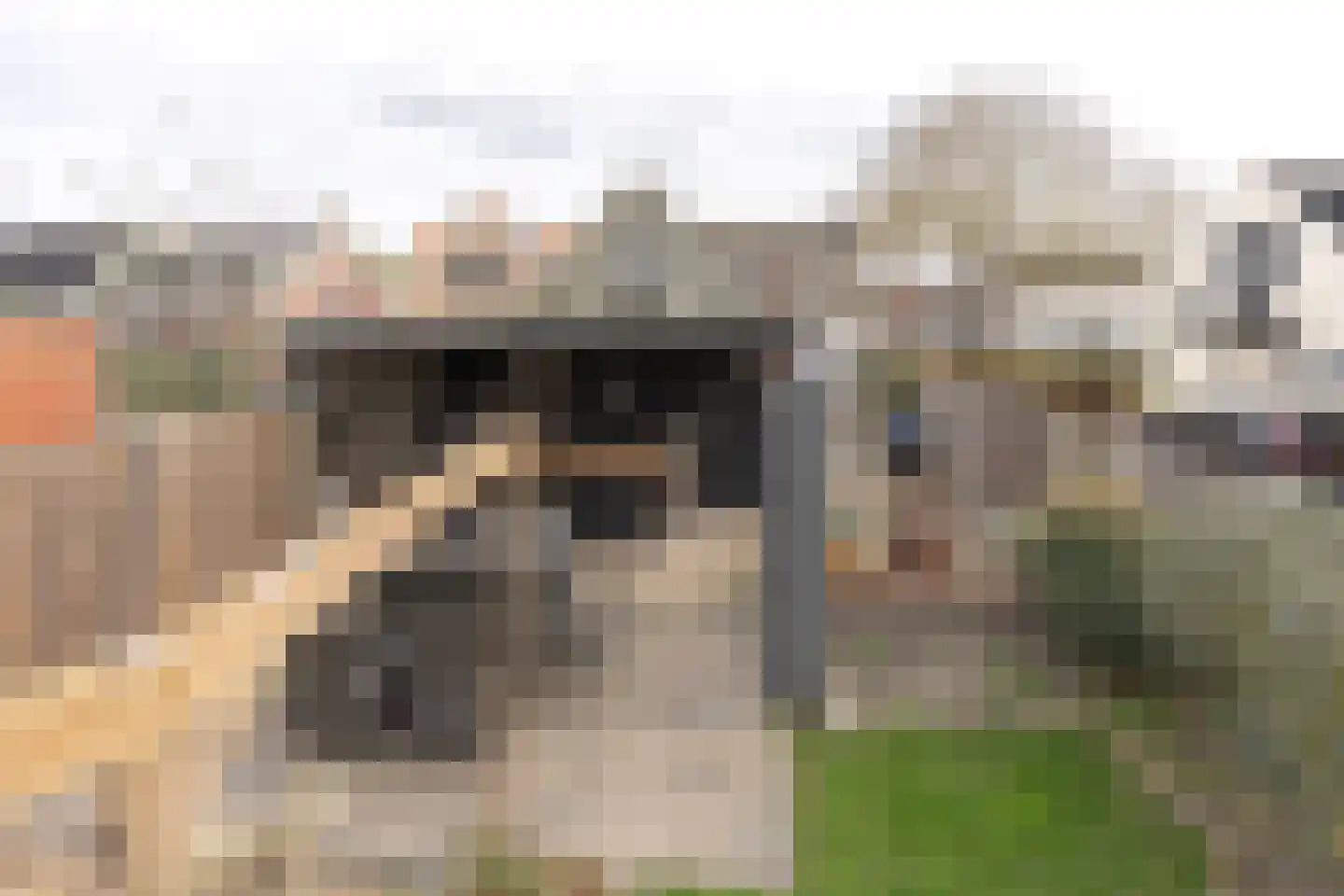 's-Gravenstraat 55 's-Gravenpolder thumbnail 98