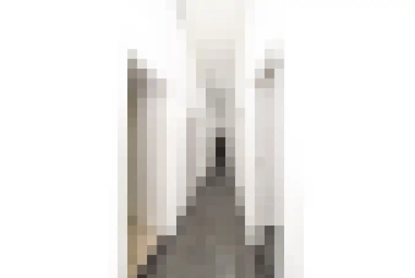 's-Gravenstraat 99 Clinge thumbnail 10