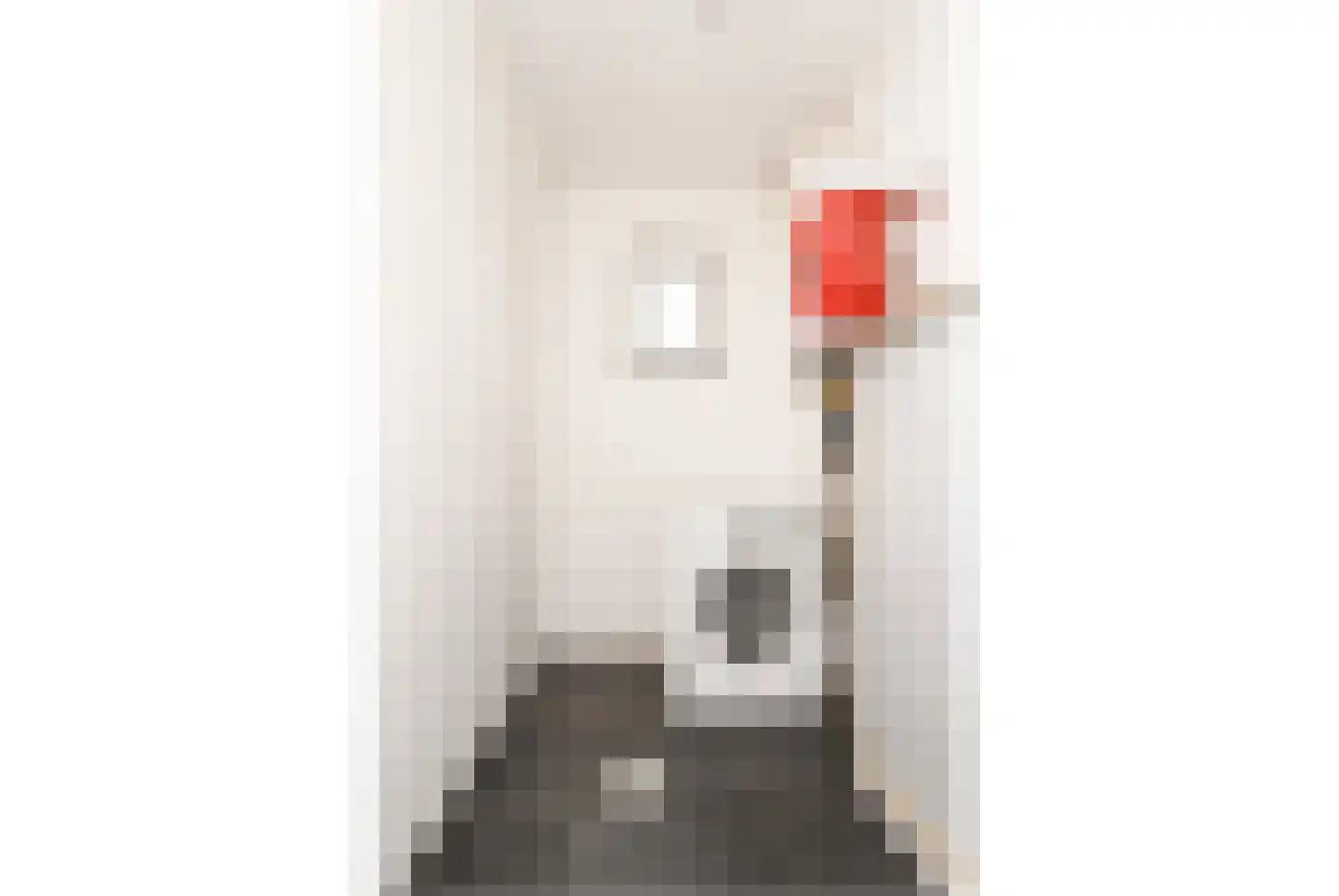 's-Gravenstraat 99 Clinge thumbnail 12