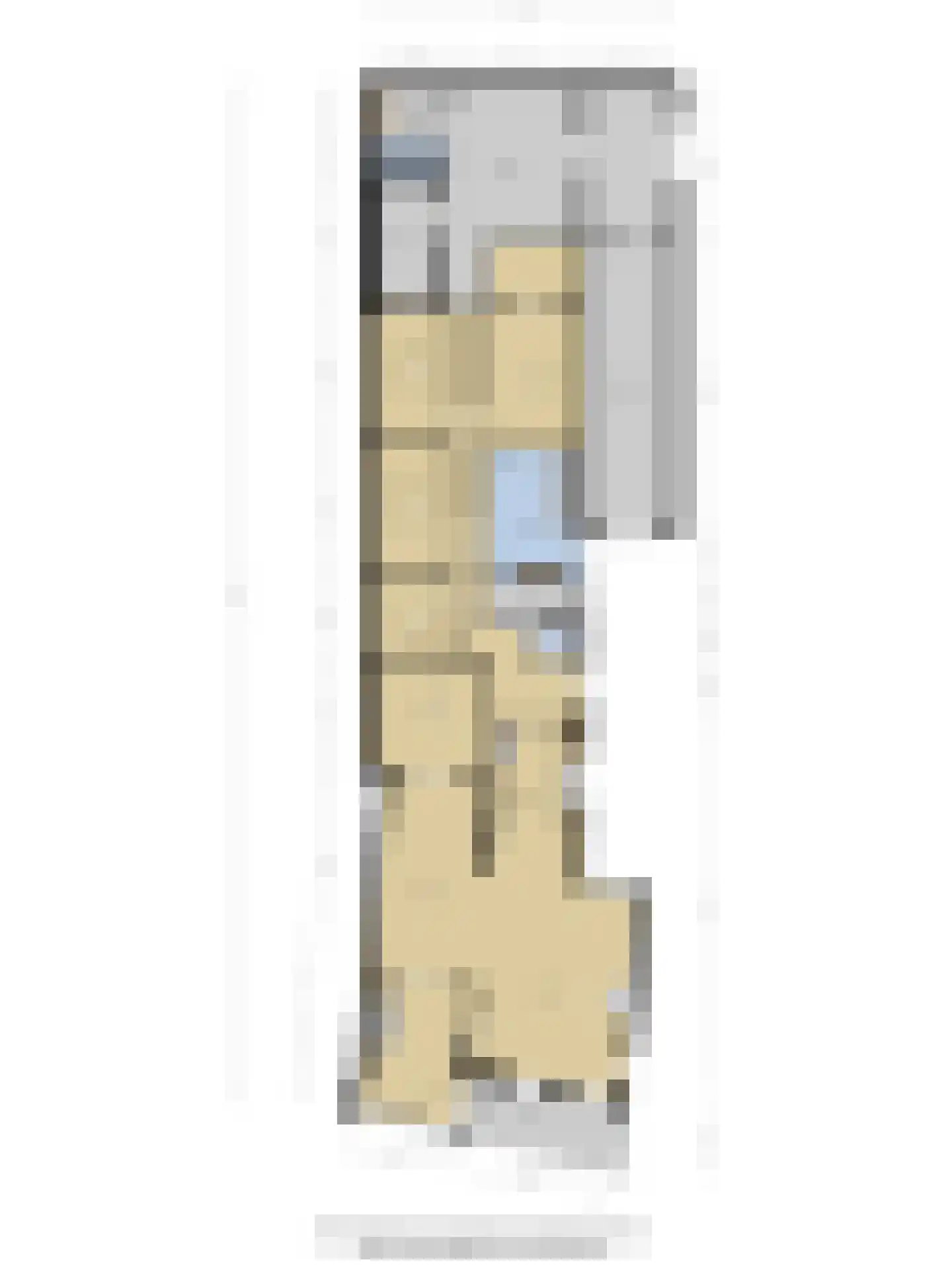 's-Gravenstraat 99 Clinge thumbnail 38