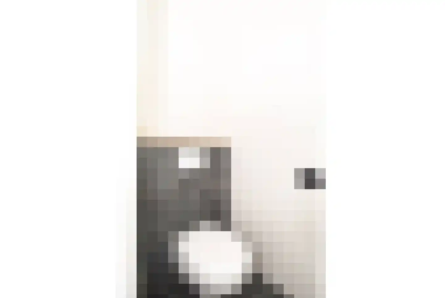 's-Gravenstraat 99 Clinge thumbnail 9