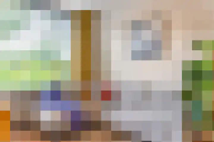 's-Gravenwaarde 13 Laren thumbnail 13