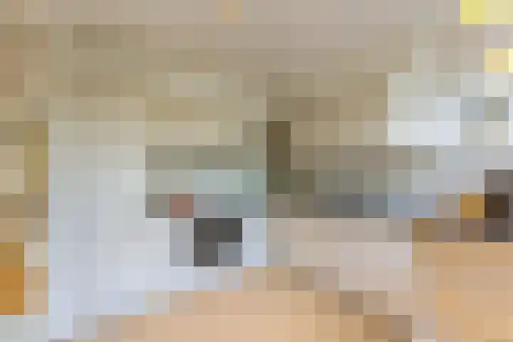 's-Gravenwaarde 13 Laren thumbnail 15