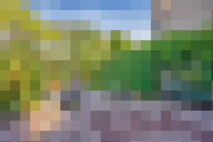 's-Gravenwaarde 13 Laren thumbnail 37