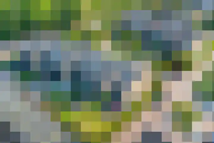 's-Gravenwaarde 13 Laren thumbnail 40