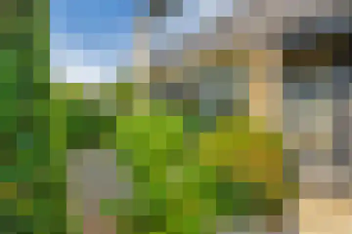 's-Gravenwaarde 13 Laren thumbnail 5