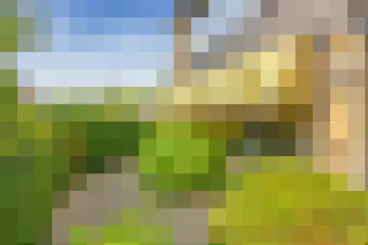 's-Gravenwaarde 13 Laren thumbnail 6