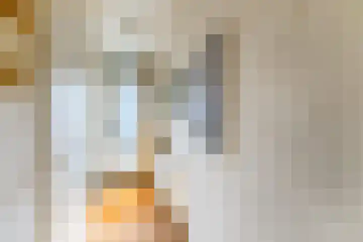 's-Gravenwaarde 13 Laren thumbnail 7