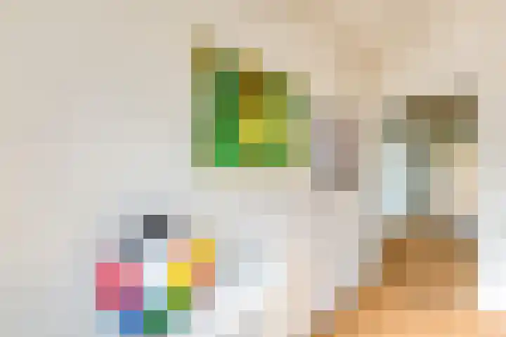 's-Gravenwaarde 13 Laren thumbnail 8
