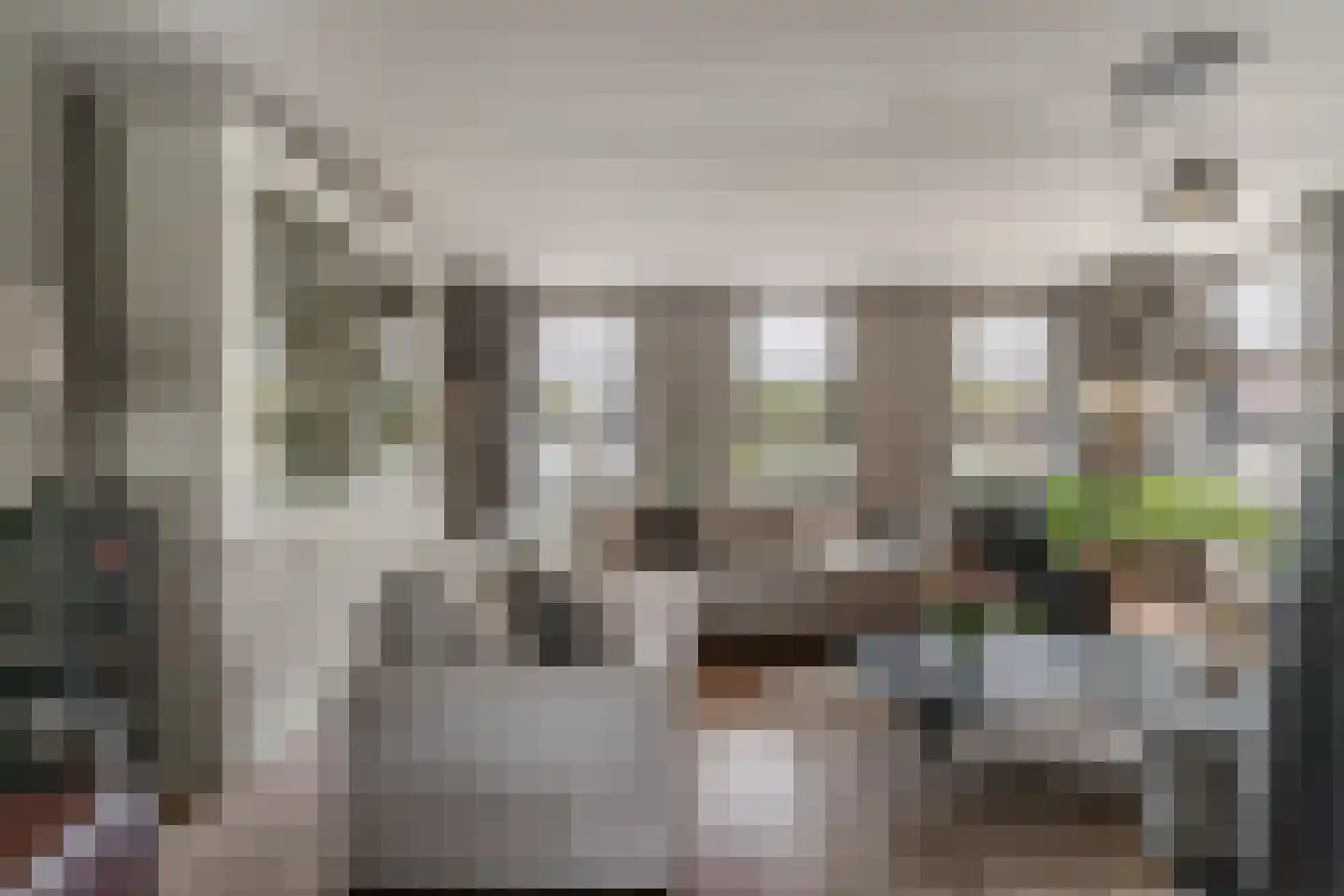 's-Gravenwaardsedijk 1 Tolkamer thumbnail 11