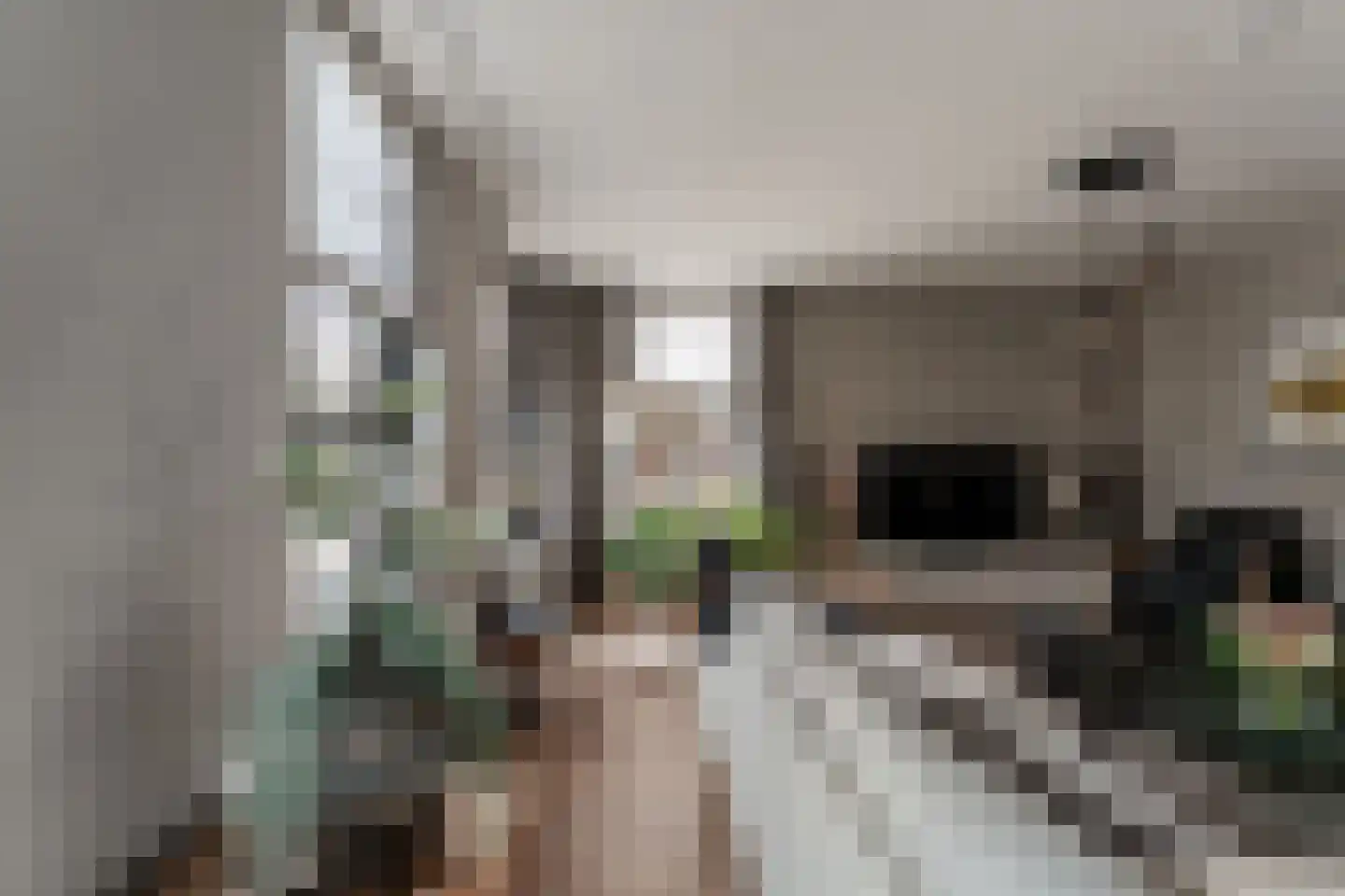 's-Gravenwaardsedijk 1 Tolkamer thumbnail 13