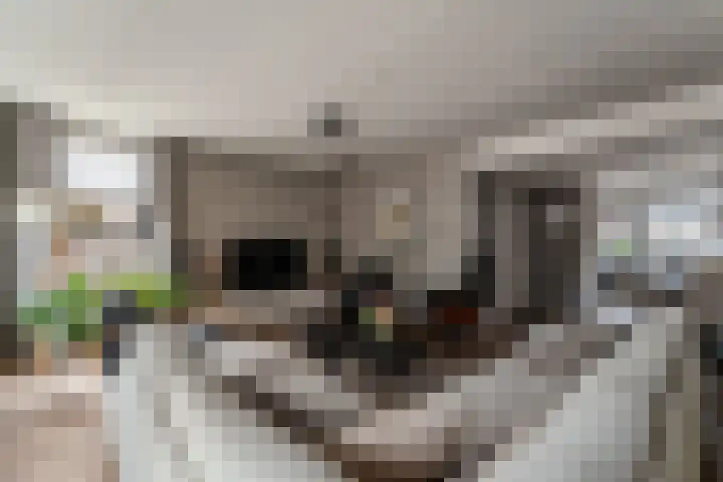 's-Gravenwaardsedijk 1 Tolkamer thumbnail 14