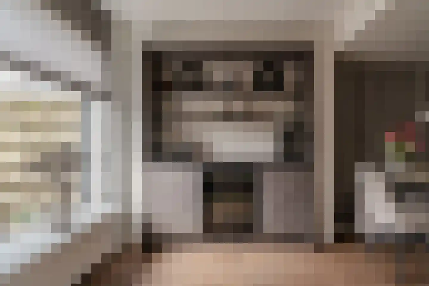's-Gravenwaardsedijk 1 Tolkamer thumbnail 17
