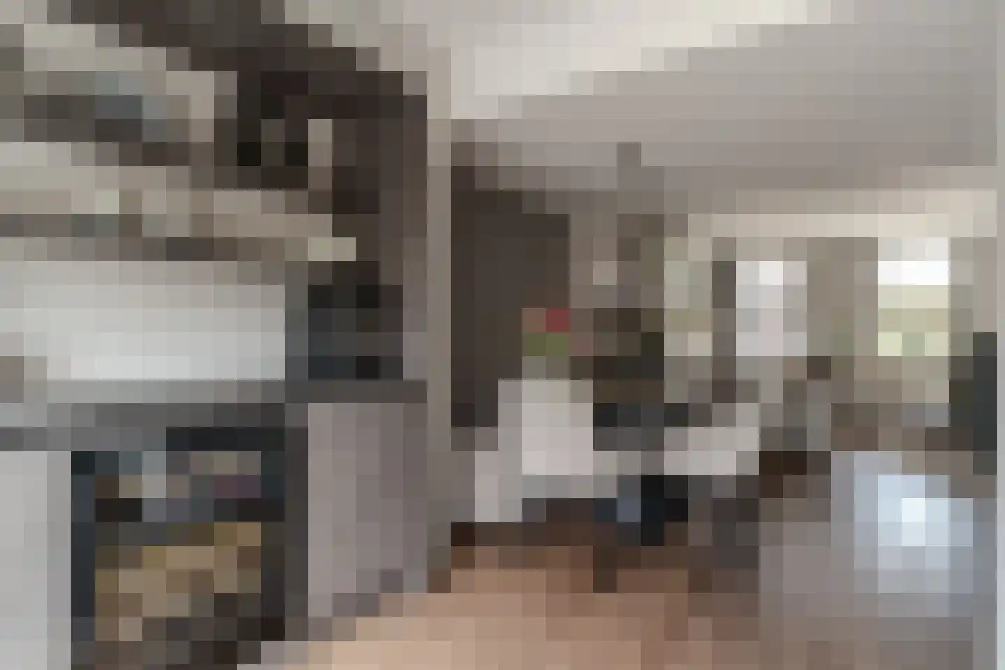 's-Gravenwaardsedijk 1 Tolkamer thumbnail 18
