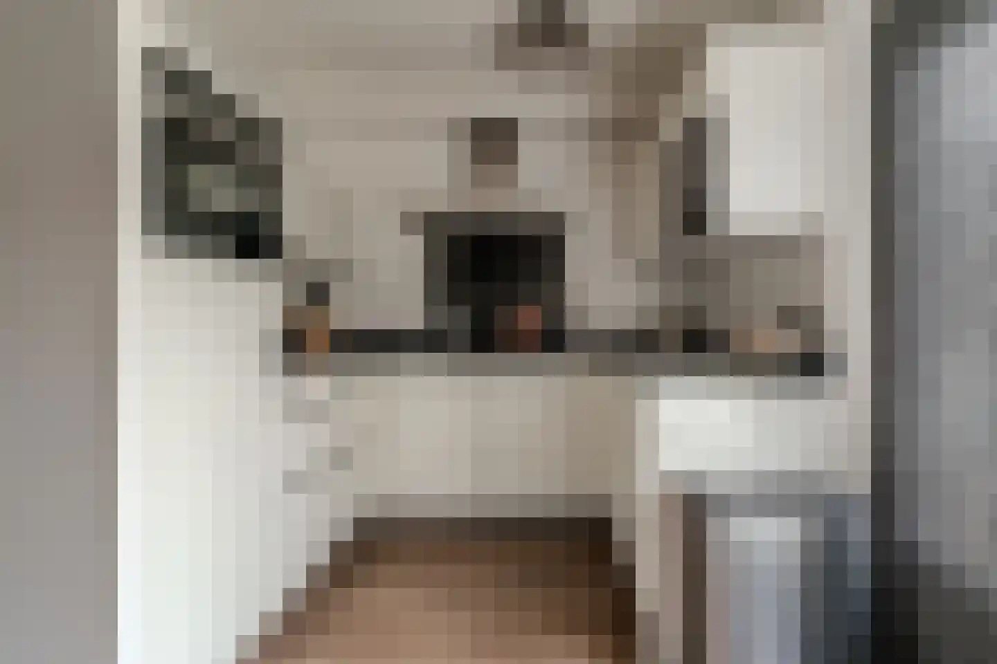 's-Gravenwaardsedijk 1 Tolkamer thumbnail 22