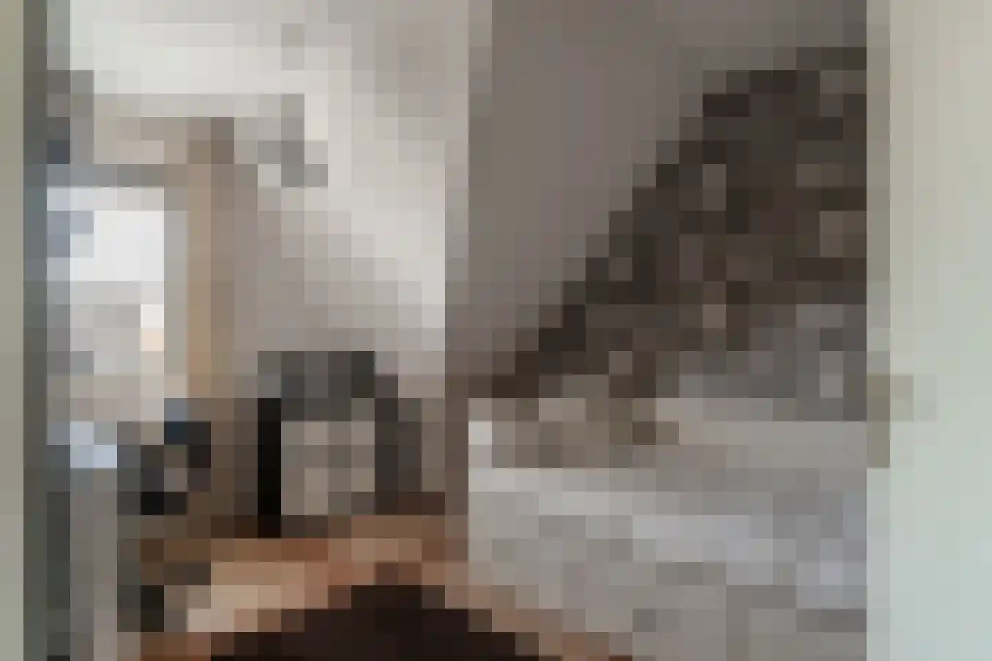 's-Gravenwaardsedijk 1 Tolkamer thumbnail 27