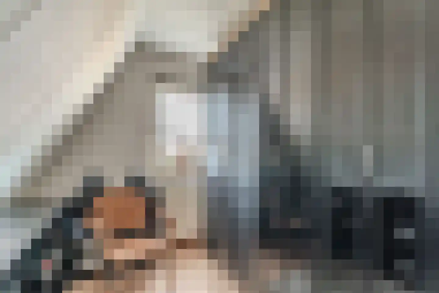 's-Gravenwaardsedijk 1 Tolkamer thumbnail 30