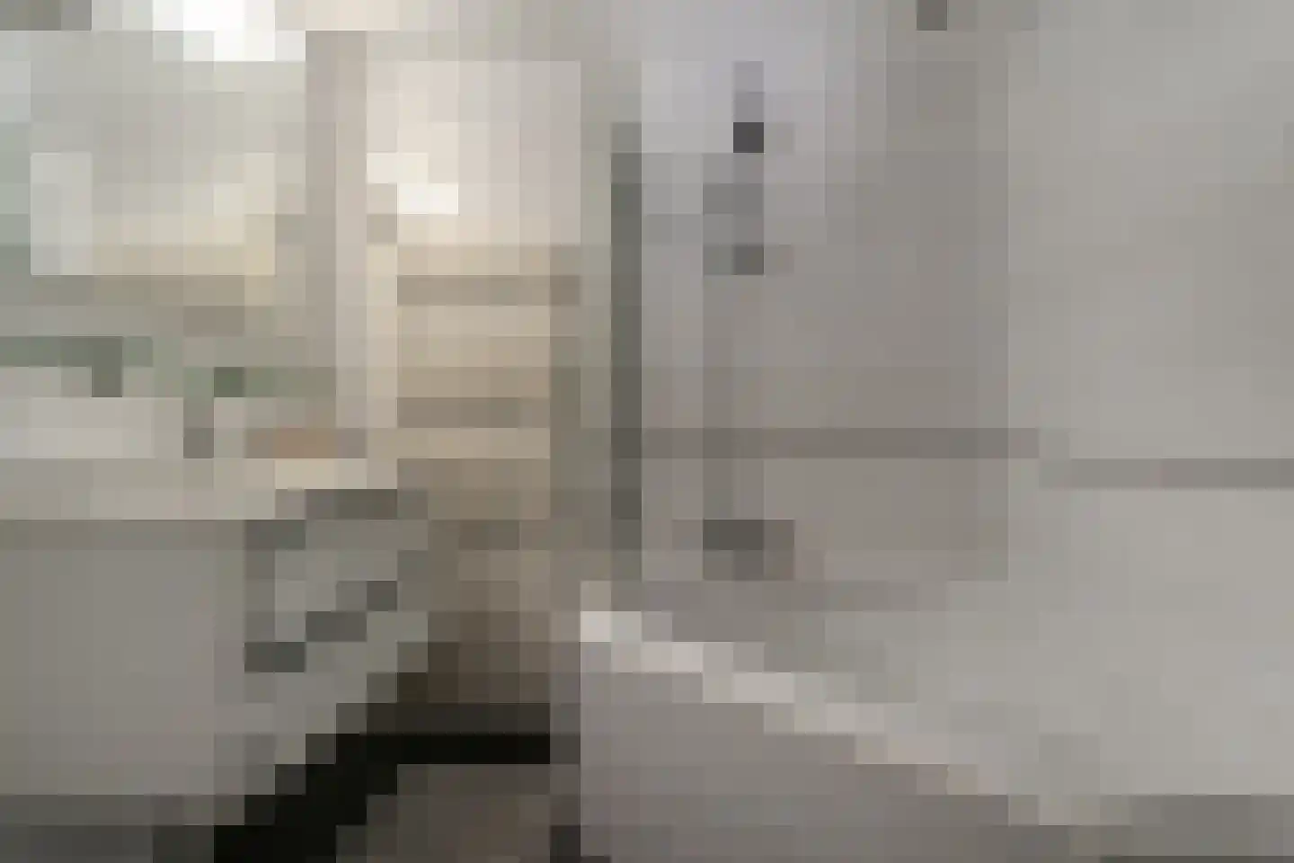 's-Gravenwaardsedijk 1 Tolkamer thumbnail 33