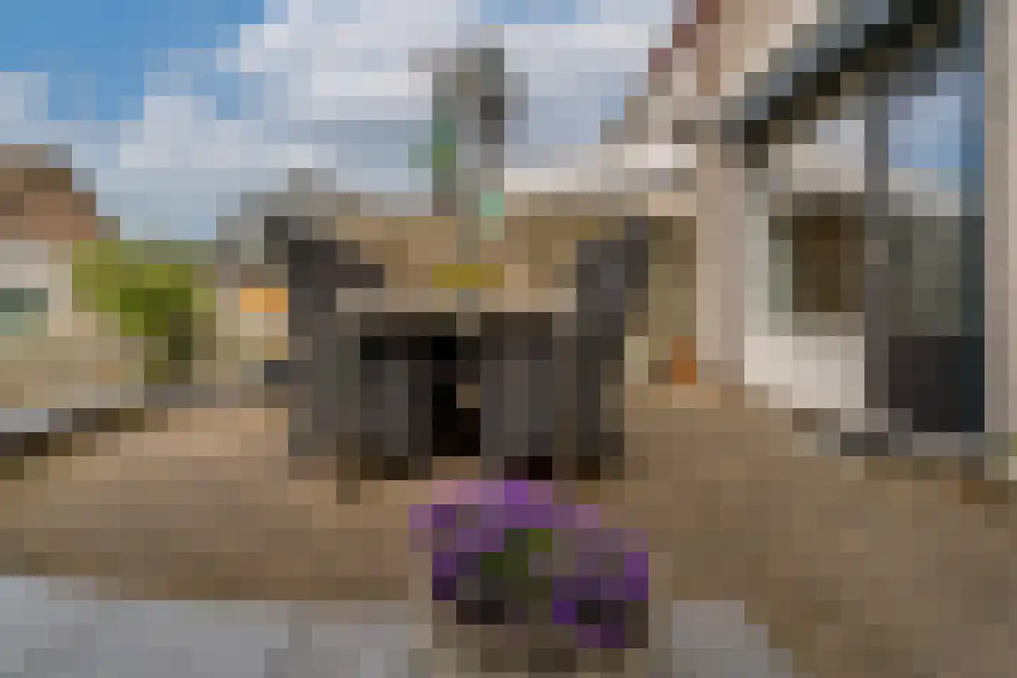 's-Gravenwaardsedijk 1 Tolkamer thumbnail 36