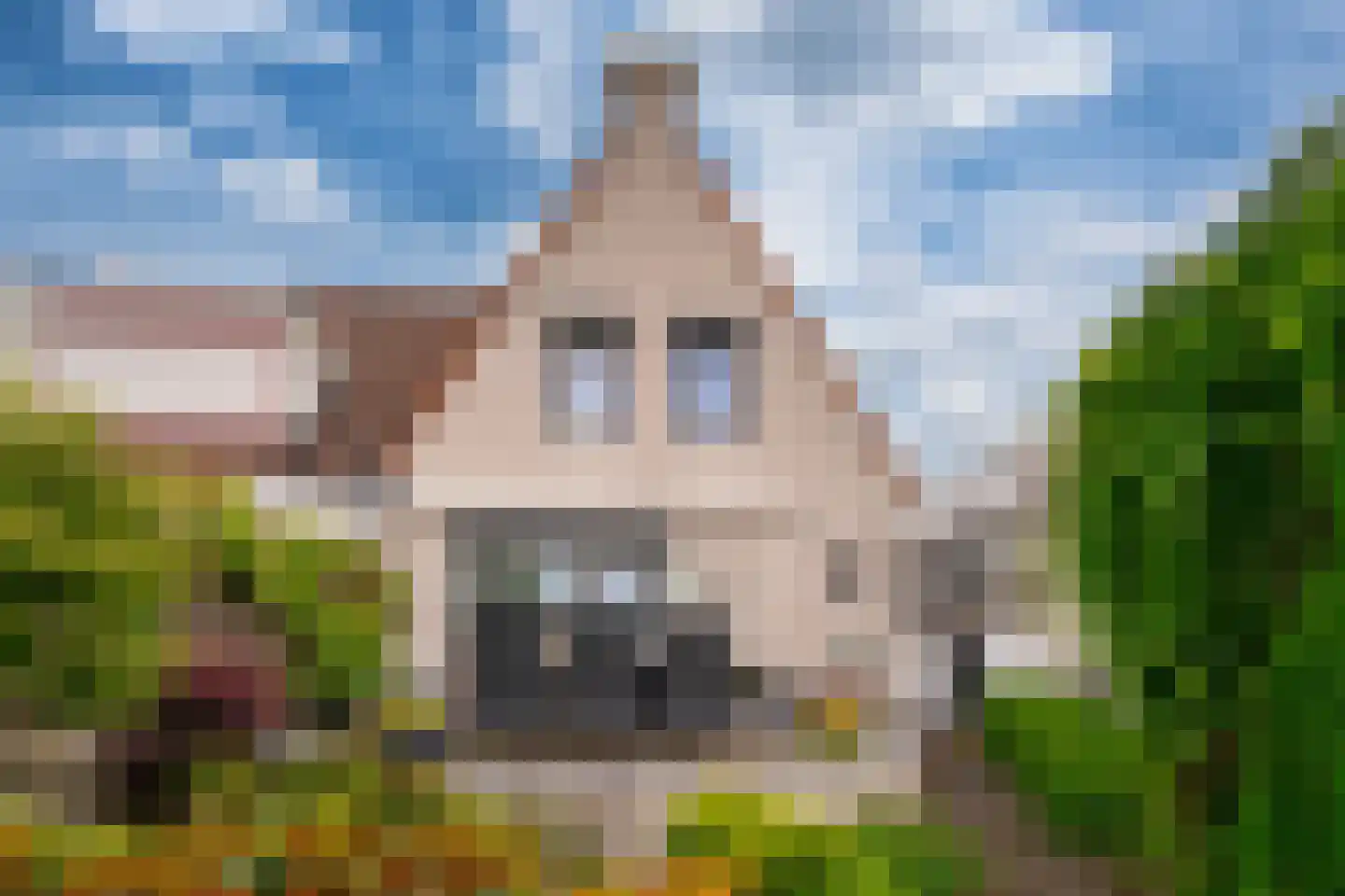's-Gravenwaardsedijk 1 Tolkamer thumbnail 39