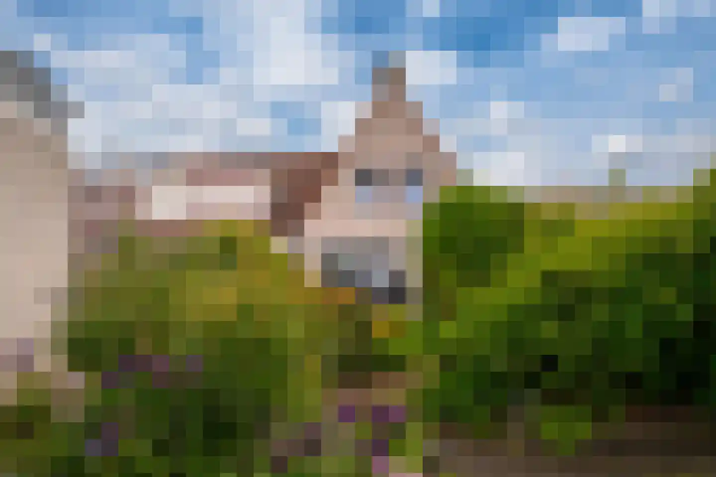 's-Gravenwaardsedijk 1 Tolkamer thumbnail 40