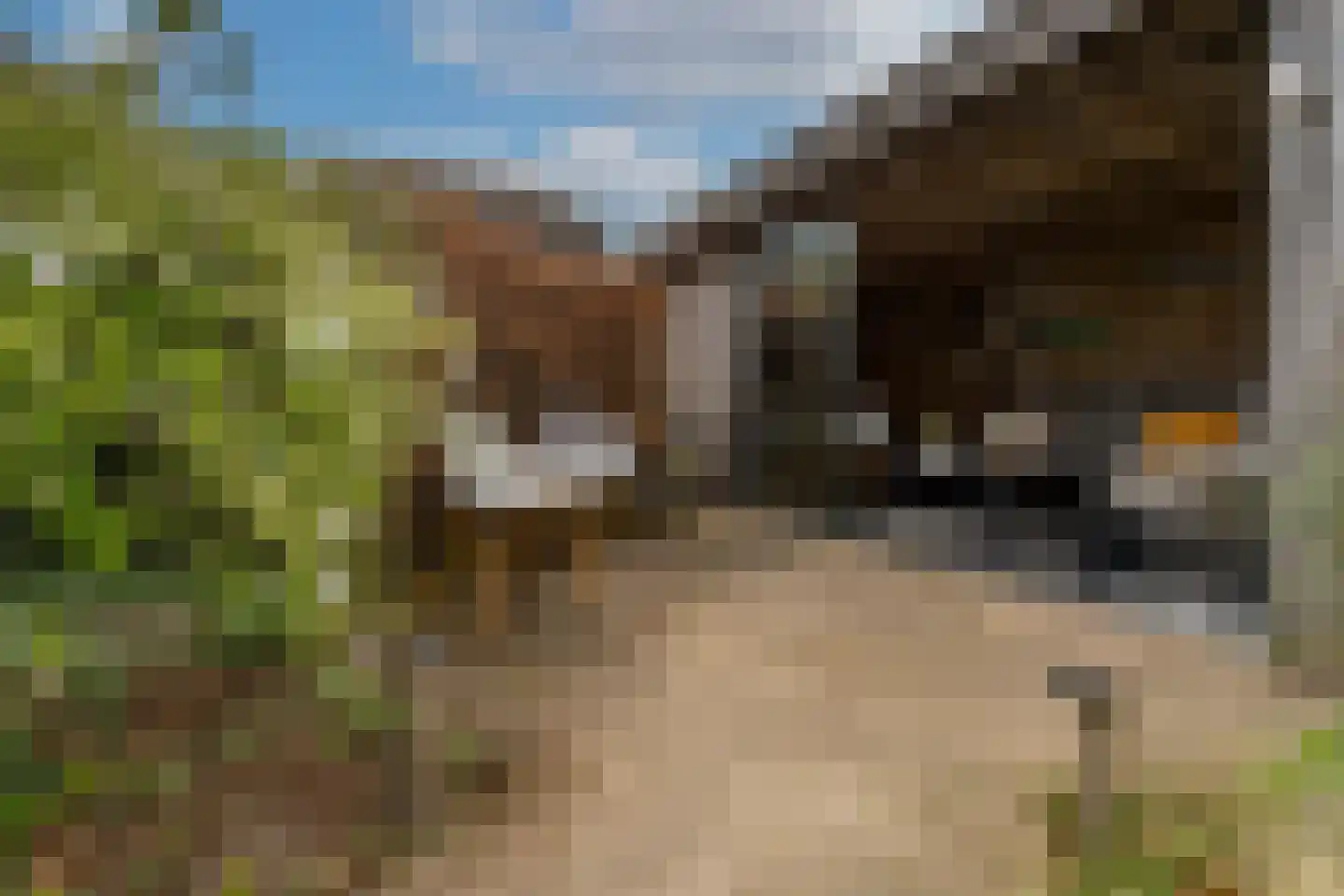 's-Gravenwaardsedijk 1 Tolkamer thumbnail 41