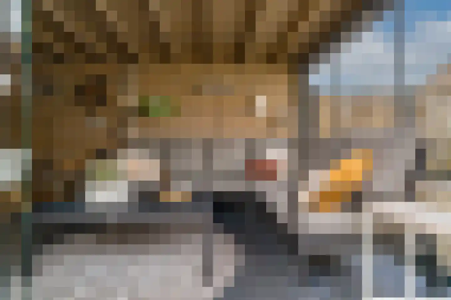 's-Gravenwaardsedijk 1 Tolkamer thumbnail 42