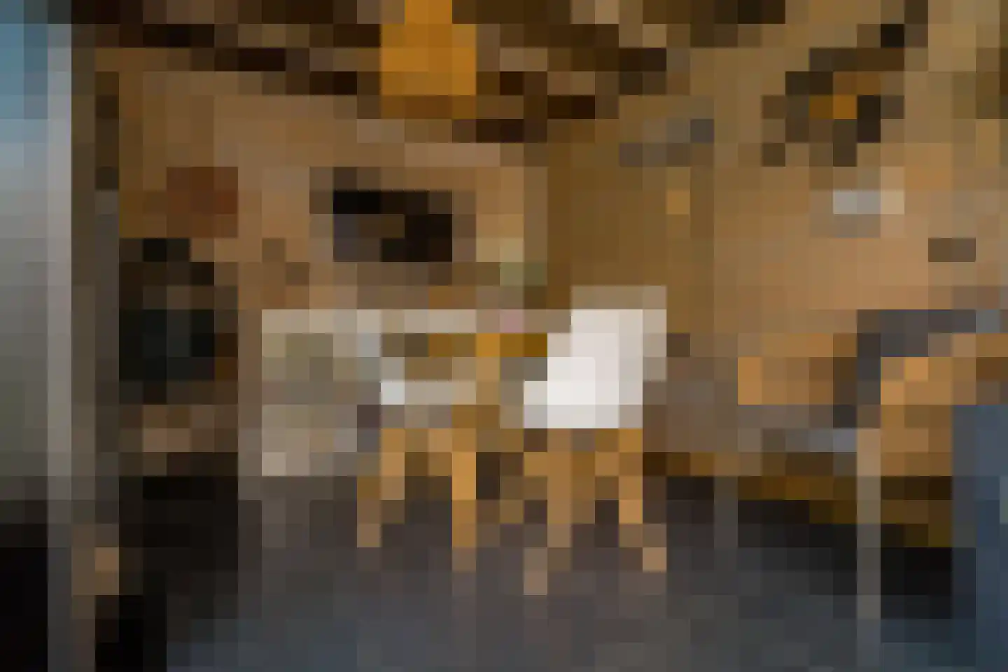 's-Gravenwaardsedijk 1 Tolkamer thumbnail 43