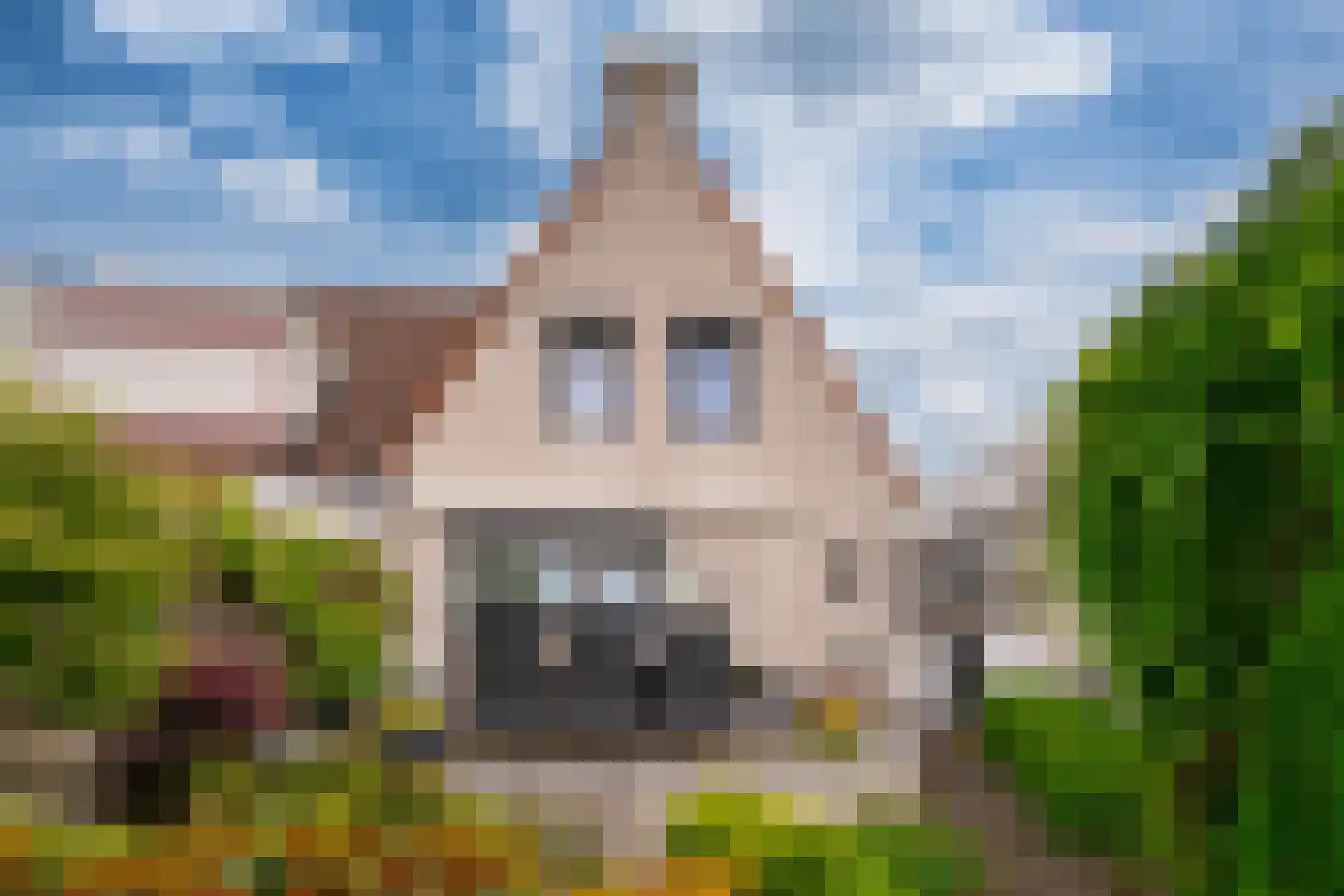 's-Gravenwaardsedijk 1 Tolkamer thumbnail 45