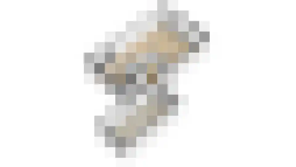's-Gravenwaardsedijk 1 Tolkamer thumbnail 47