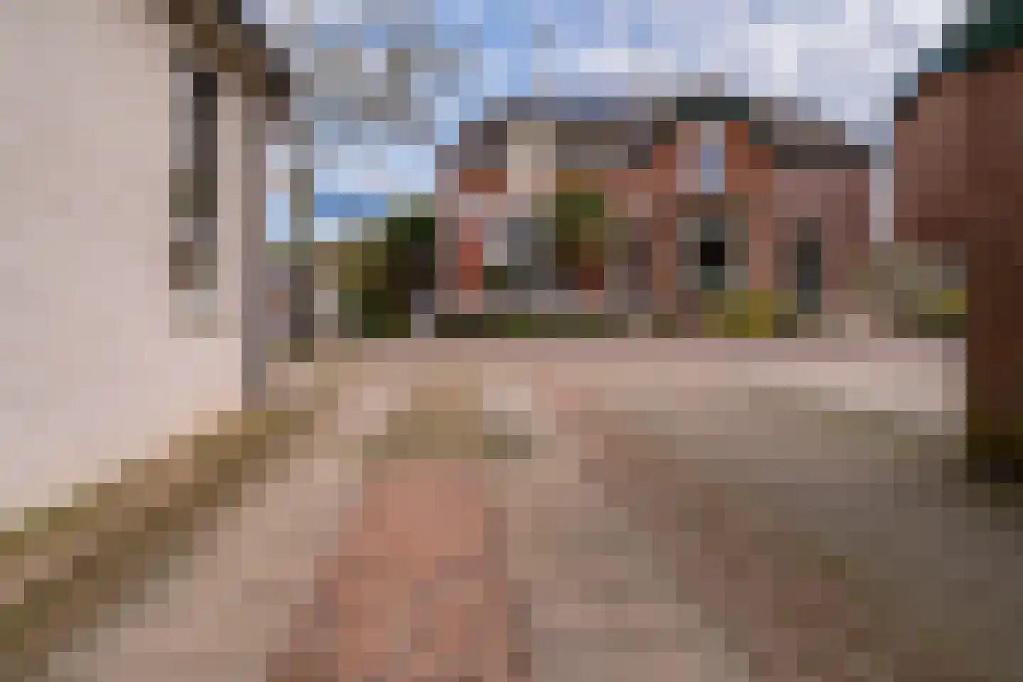 's-Gravenwaardsedijk 1 Tolkamer thumbnail 6