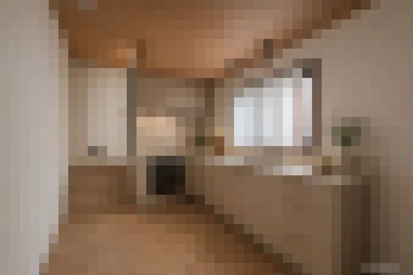 's-Gravenwaardsedijk 27 Tolkamer thumbnail 21