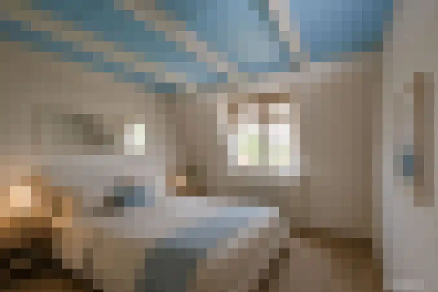 's-Gravenwaardsedijk 27 Tolkamer thumbnail 34
