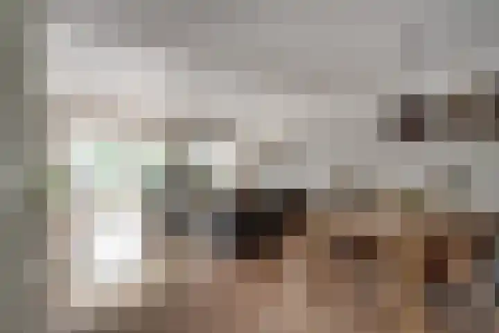 's-Gravenwaardsedijk 9 Tolkamer thumbnail 10